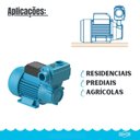 Ver imagem 5 de Bomba D'água 1/2 Cv Periférica Dpa-40 95280005 Bivolt Dancor