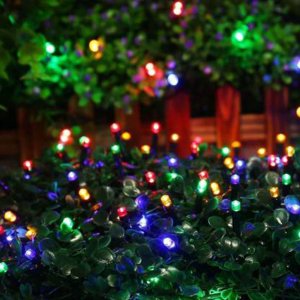 Pisca Pisca Cordão Led 10m com 100 Lâmpadas Gota Preta:verde