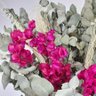 Arranjo Desidratado Brisa Eucalipto Aromático e Bougainvillea Rosa Escuro+ Vaso Azul Plantô - 2