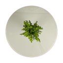 Ver imagem 2 de Mesa Lateral Bella para Sala com Vidro 60 cm - Off white