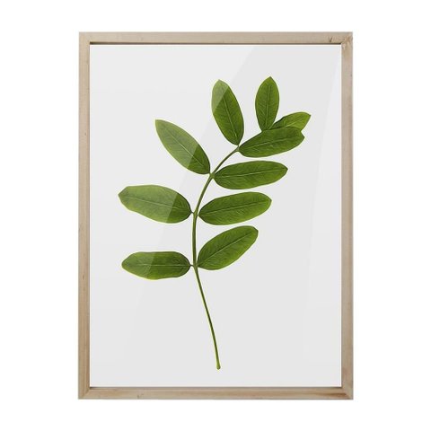 TELA COM IMPRESSAO DE FOLHA 30CM X 40CM X 2CM BTC Decor