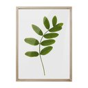 Ver imagem 1 de TELA COM IMPRESSAO DE FOLHA 30CM X 40CM X 2CM BTC Decor