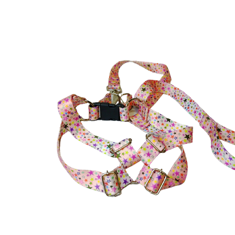 Conjunto Peitoral Ajustável RBPet com Guia - Cães de Pequeno Porte
