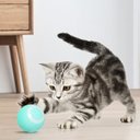 Ver imagem 2 de Bola Giratoria Smart Inteligente Brinquedo Gato Pet Bolinha Petshop Usb Bateria Recarregavel Animal 
