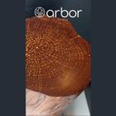 Ver imagem 3 de Mesa Lateral Tronc Doré Biofílica Madeira Maciça