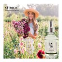 Ver imagem 2 de Aromatizador Forte Botanica Essence 34. Farm Gold 250ml