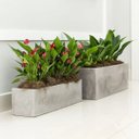 Ver imagem 2 de Cachepot Floreira Flat para Plantas 67 Cimento Queimado Japi