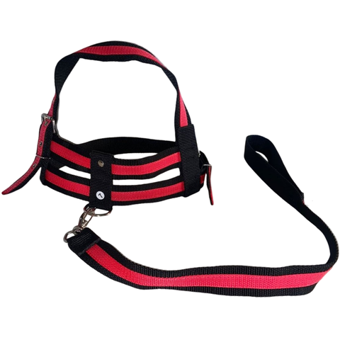 Coleira Peitoral Ajustável com Guia para Pet:vermelho/g