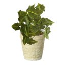 Ver imagem 1 de 7 Plantas Artificiais Caladium Verde Decoração Premium