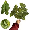 Ver imagem 5 de 7 Plantas Artificiais Caladium Verde Decoração Premium