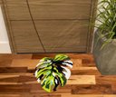 Ver imagem 1 de TAPETE CAPACHO PLANTA, FORMATO FOLHA, PARA DECORAÇÃO DE SALA QUARTO BANHEIRO E VARANDAS.