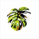 Ver imagem 2 de TAPETE CAPACHO PLANTA, FORMATO FOLHA, PARA DECORAÇÃO DE SALA QUARTO BANHEIRO E VARANDAS.