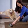Removedor de Pelos Cachorro Fur Daddy Led Gatos Pet Sem fio Cabelo Caes Portatil Sofa Carpete Cabelo - 6