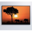 Ver imagem 6 de Quadro Família de Elefantes em Pôr do Sol na África