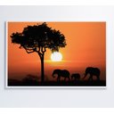 Ver imagem 4 de Quadro Família de Elefantes em Pôr do Sol na África