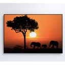 Ver mais imagens de Quadro Família de Elefantes em Pôr do Sol na África