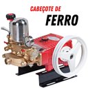 Ver imagem 1 de Bomba Agrícola Alta Pressão para Lavação S40f Kawashima