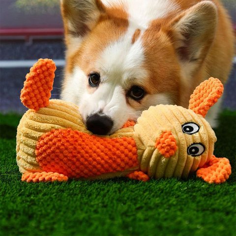 Mordedor Pelucia Pet Cachorro Gato Petshop Brinquedo com Apito Dentiçao Animais Divertido Interativo