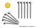 Ver imagem 4 de Kit Caixa c/ 500 Parafusos 4,8x32 Phillips Ponta Piloto Cabeça Panela p/ Esquadria PAR428 - New Fix