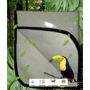 Ver imagem 5 de Tapete Higiênico Ecológico para Cachorro, 5 G, Tam 90x100 Cm