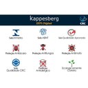 Ver imagem 4 de Colchão Casal Anatômico Kappesberg D40 Grise 138x188x32