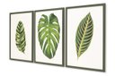 Ver imagem 3 de Quadro Folha Trio Tamanho 40x60 3 Peças