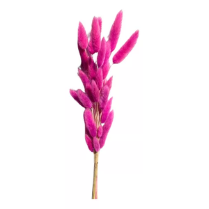 Buquê Rabo de Coelho Rosa Natural Desidratada para Decoração