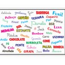 Ver imagem 6 de Jogo Educativo para Educação Infantil Rimas Lince de Madeira Mdf Zanline