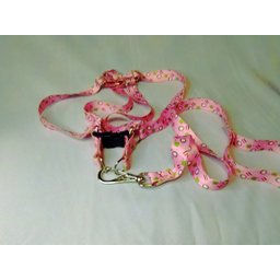 Conjunto Peitoral Ajustável RBPet com Guia - Cães de Médio Porte - 6