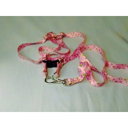 Conjunto Peitoral Ajustável RBPet com Guia - Cães de Médio Porte - 7