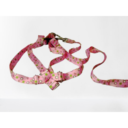 Conjunto Peitoral Ajustável RBPet com Guia - Cães de Médio Porte - 2