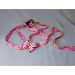 Conjunto Peitoral Ajustável RBPet com Guia - Cães de Médio Porte - 4