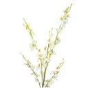 Ver imagem 5 de Jogo 3 Hastes Flor Orquídea Chuva de Ouro Artificial Branca 50cm - Mc Flores
