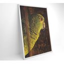 Ver imagem 6 de Quadro Papagaio Decor&quadros Nat010