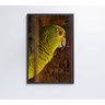 QUADRO PAPAGAIO Decor&Quadros NAT010 - 3
