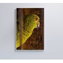 Ver imagem 1 de Quadro Papagaio Decor&quadros Nat010