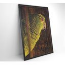 Ver imagem 4 de Quadro Papagaio Decor&quadros Nat010