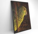 Ver imagem 4 de Quadro Papagaio Decor&quadros Nat010