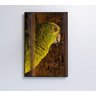 QUADRO PAPAGAIO Decor&Quadros NAT010 - 7