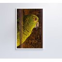 Ver imagem 5 de Quadro Papagaio Decor&quadros Nat010