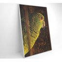 Ver imagem 2 de Quadro Papagaio Decor&quadros Nat010