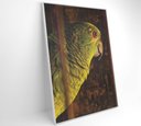 Ver imagem 2 de Quadro Papagaio Decor&quadros Nat010