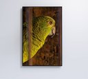 Ver imagem 7 de Quadro Papagaio Decor&quadros Nat010