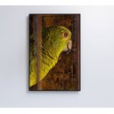 Ver imagem 7 de Quadro Papagaio Decor&quadros Nat010