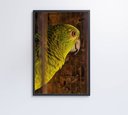 Ver imagem 3 de Quadro Papagaio Decor&quadros Nat010
