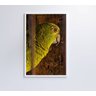 QUADRO PAPAGAIO Decor&Quadros NAT010 - 5