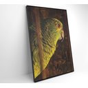 Ver mais imagens de Quadro Papagaio Decor&quadros Nat010