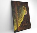 Ver mais imagens de Quadro Papagaio Decor&quadros Nat010