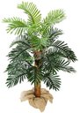 Ver imagem 1 de Planta Tropical Decorativa Arvore Palmeira 130cm