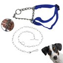 Ver imagem 2 de Coleira Ajustavel Semi Enforcador Resistente Kit Guia Corrente Aço Caes Pet Cachorro Adestramento Pa